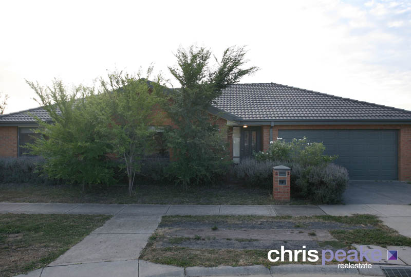 LOOKS CAN BE DECEIVING Picture 1