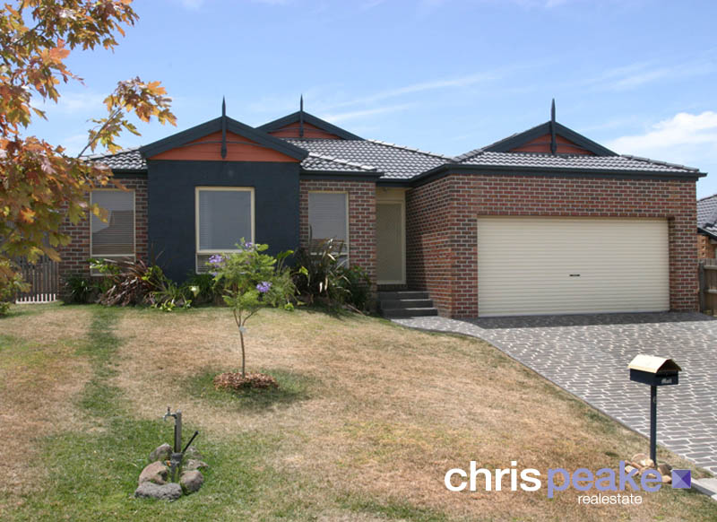 FAMILY & BUDGET FRIENDLY! Picture 1