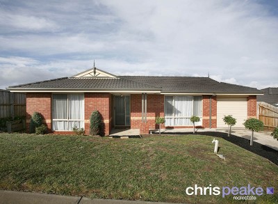 AS CUTE AS CAN BE! Picture