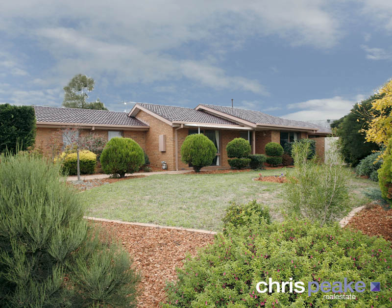 PERFECT FROM TOP TO BOTTOM Picture 1