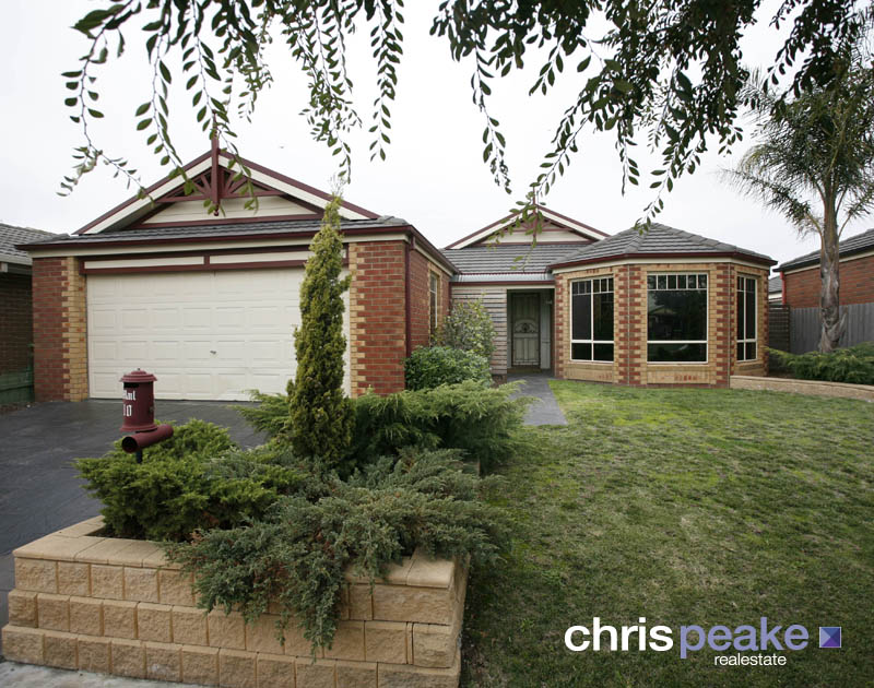 PERFECTION FROM FRONT TO BACK Picture 1