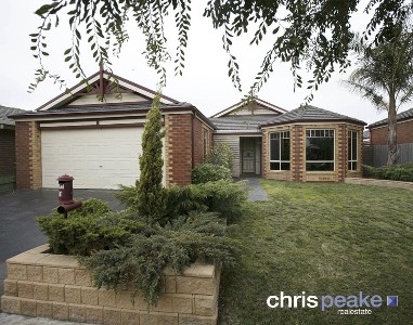 PERFECTION FROM FRONT TO BACK Picture