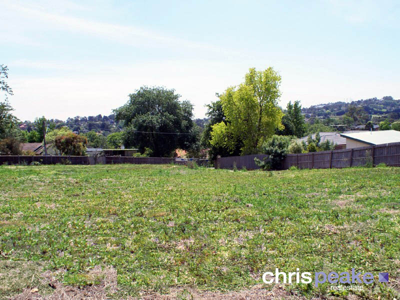 A RARE JEWEL Picture 2