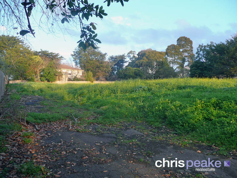 A RARE JEWEL Picture 1