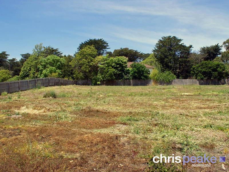 A RARE JEWEL Picture 3