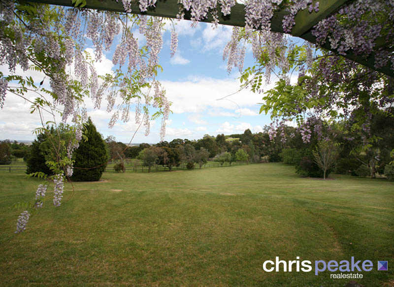 YOUR DREAM HIDE AWAY Picture 1