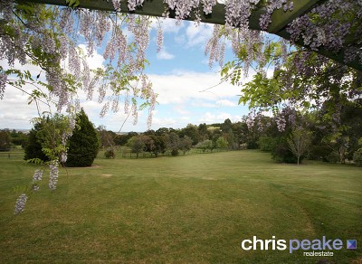 YOUR DREAM HIDE AWAY Picture