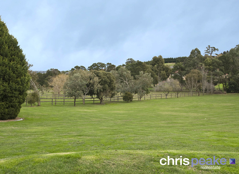 YOUR DREAM HIDE AWAY Picture 2