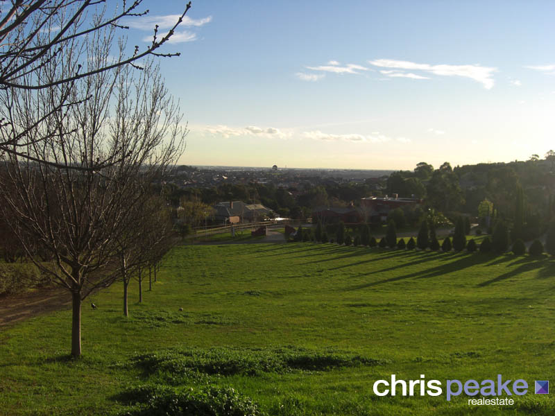 BERWICK AT IT'S BEST Picture 2