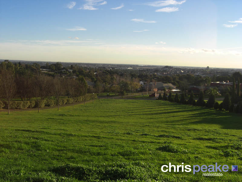 BERWICK AT IT'S BEST Picture 1