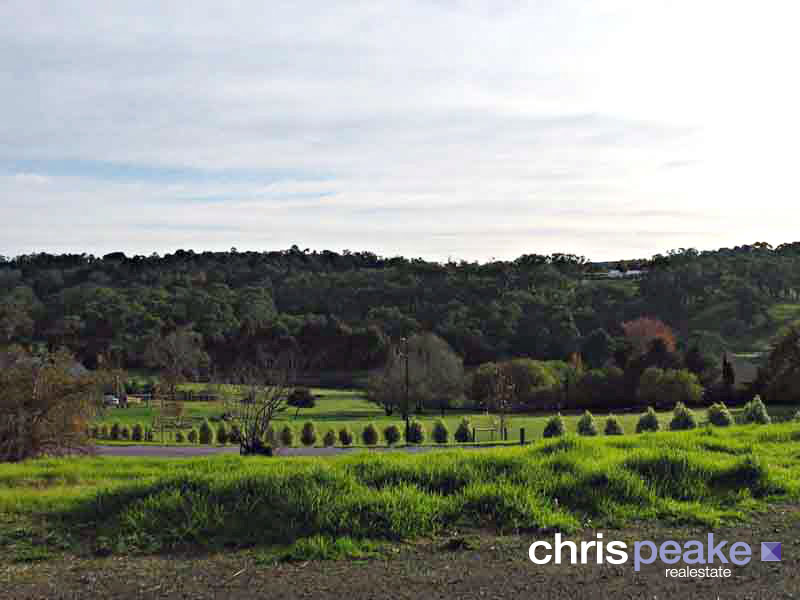 VALLEY VIEWS ON AN ACRE Picture 3