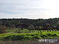 VALLEY VIEWS ON AN ACRE Picture