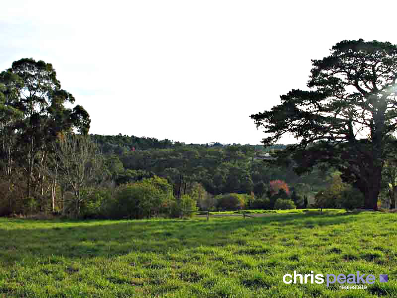 VALLEY VIEWS ON AN ACRE Picture 2