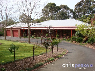 A MAGIC GARDEN WILDERNESS Picture A MAGIC GARDEN WILDERNESS Picture