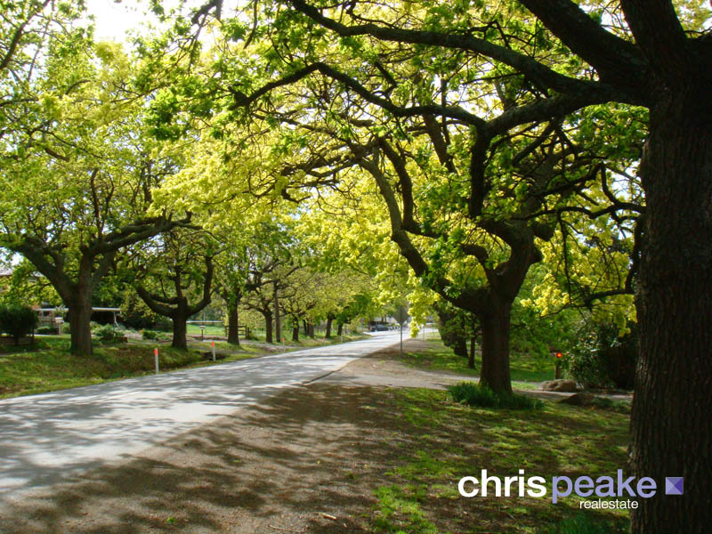 A MAGIC GARDEN WILDERNESS Picture 2