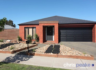 THE PERFECT START Picture THE PERFECT START Picture