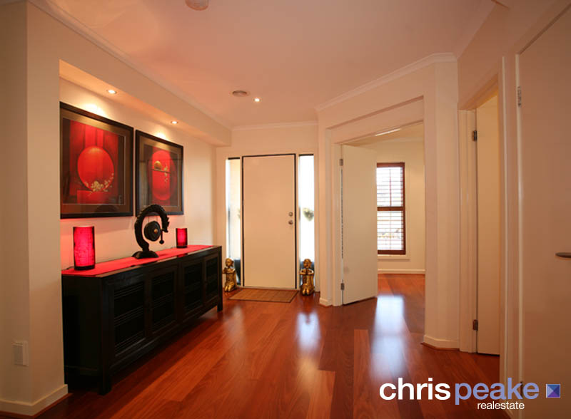 NOOSA IN THE CHASE! Picture 2