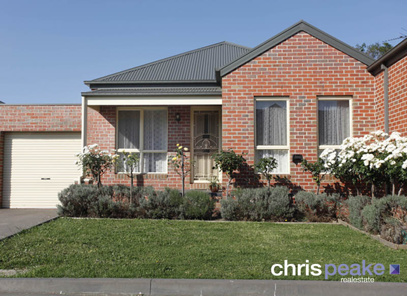 LOADS OF APPEAL Picture 1