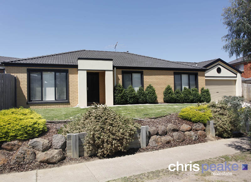 A RAY OF SUNSHINE IN SITTELLA Picture 1