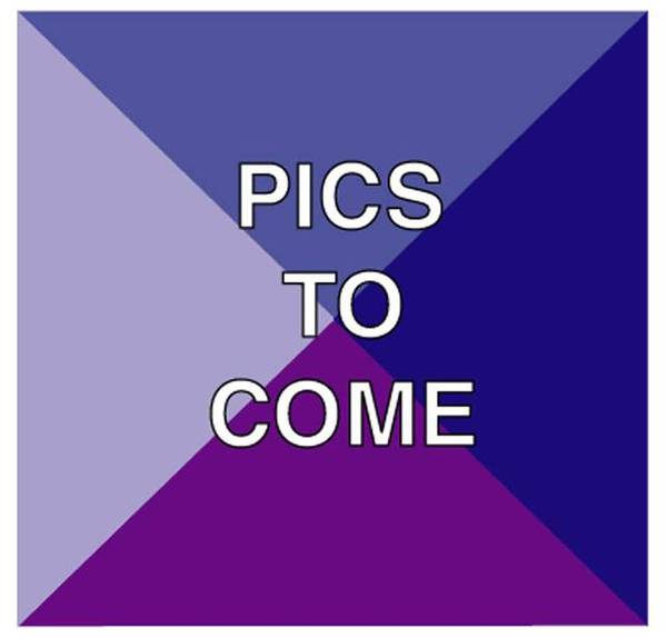 REACH FOR THE AFFORDABLE! Picture 1