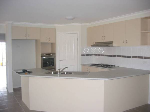 1 YEAR YOUNG!! Picture 3