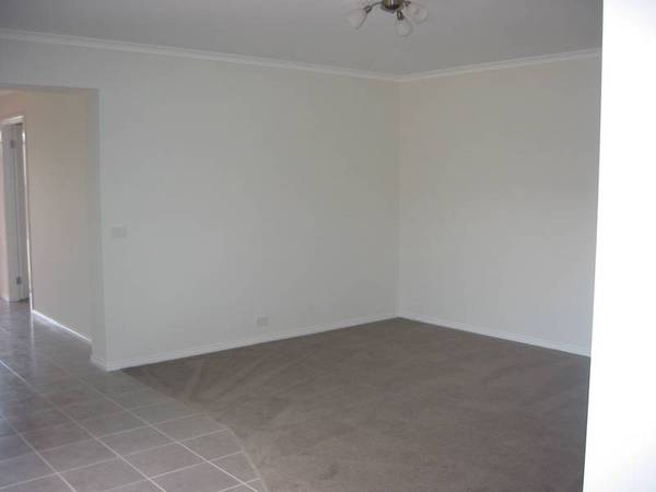 1 YEAR YOUNG!! Picture 2