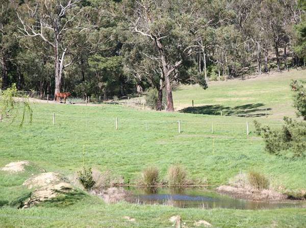 TOTAL PRIVACY ON 22 MAGICAL ACRES Picture 2