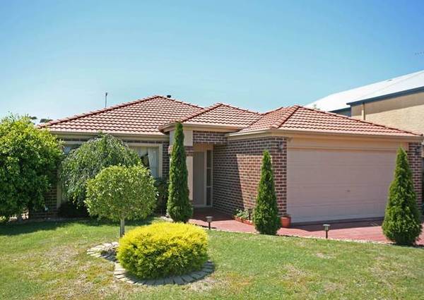 SWEET PERFECTION Picture 1