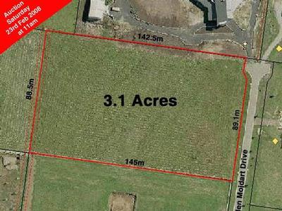 A DIAMOND WORTH DISCOVERING Picture