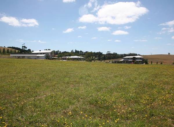 A DIAMOND WORTH DISCOVERING Picture 2