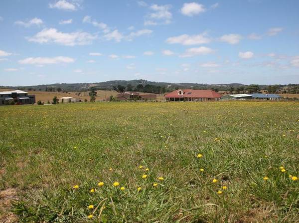 A DIAMOND WORTH DISCOVERING Picture 3