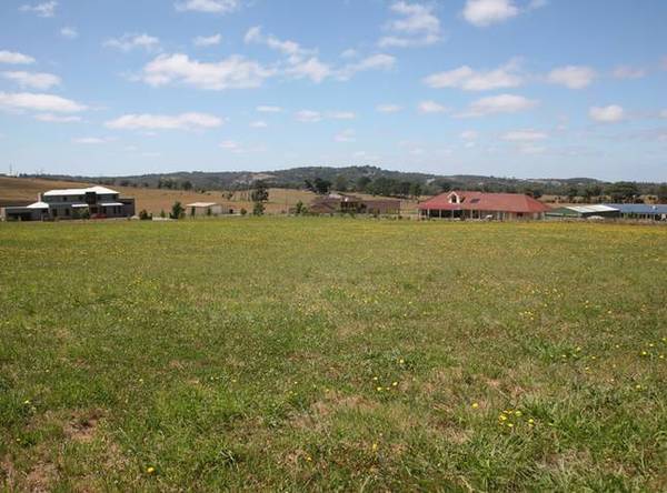 A DIAMOND WORTH DISCOVERING Picture 3