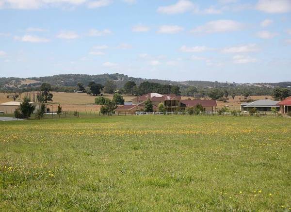 A DIAMOND WORTH DISCOVERING Picture 2