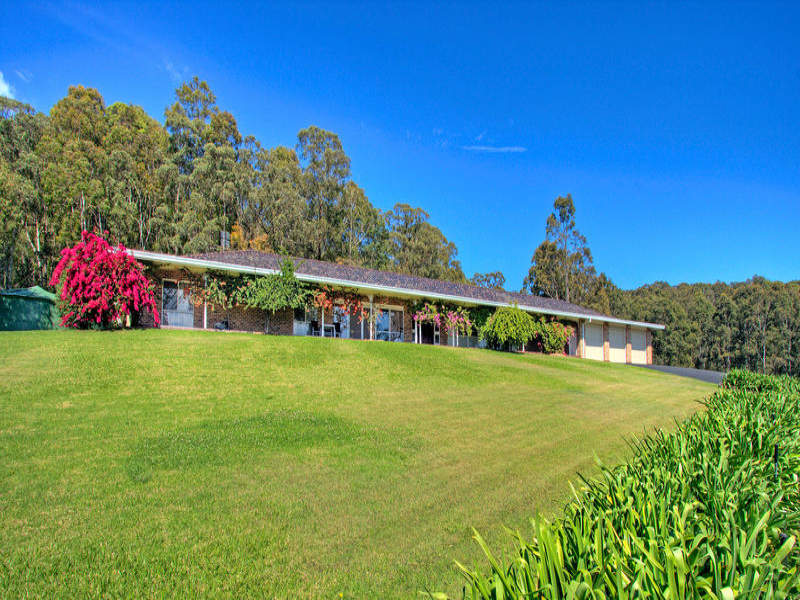 A BEAUTIFUL LIFESTYLE Picture 2