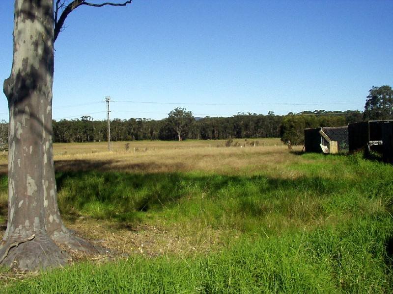 A LITTLE BIT OF COUNTRY IN THE CITY Picture 2