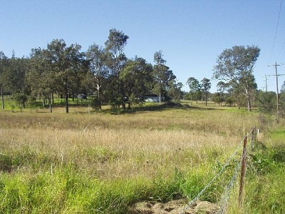 A LITTLE BIT OF COUNTRY IN THE CITY Picture A LITTLE BIT OF COUNTRY IN THE CITY Picture