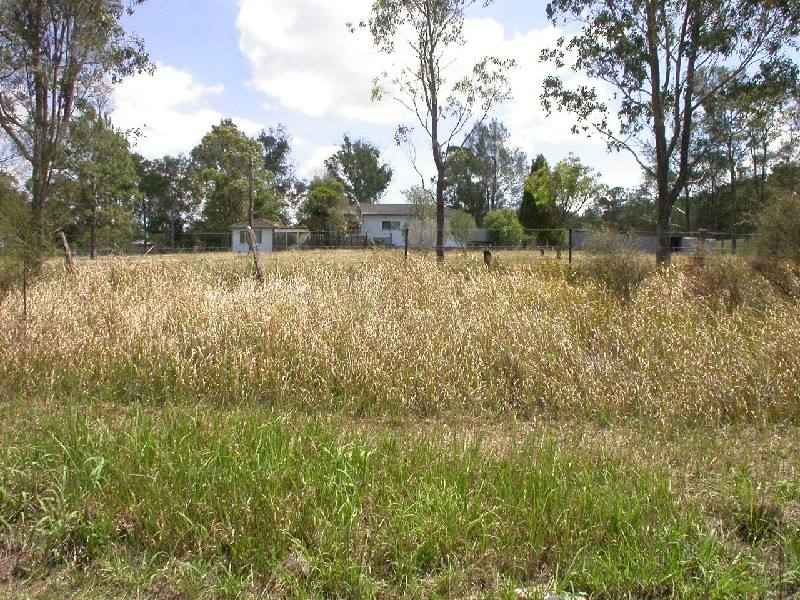 A LITTLE BIT OF COUNTRY IN THE CITY Picture 3