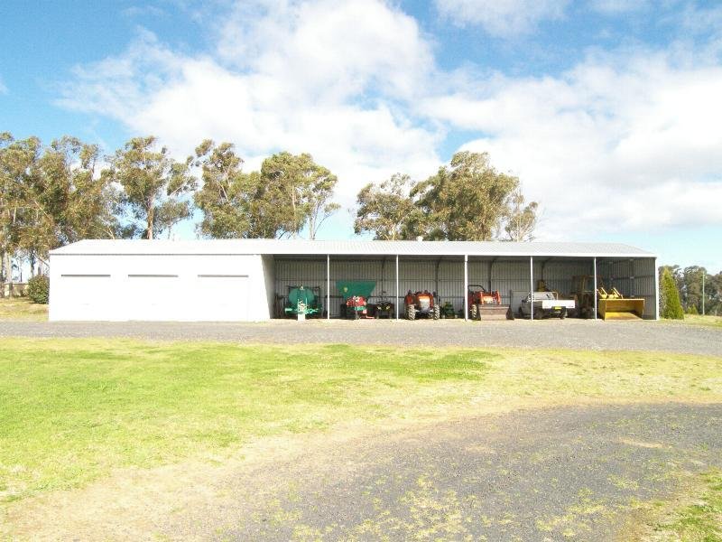 CHICKEN BROILER FARM Picture 2