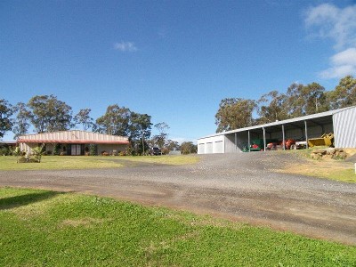 CHICKEN BROILER FARM Picture