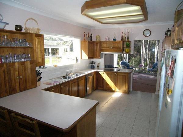 EVERYTHING YOU COULD WANT Picture 2