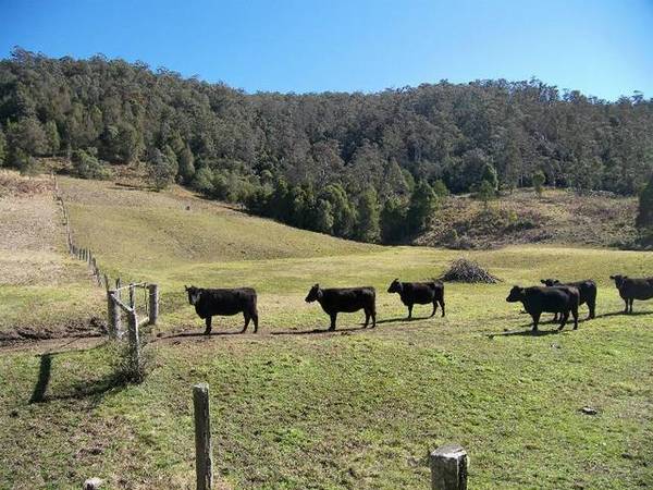 EXCLUSIVE RURAL ADDRESS Picture 2