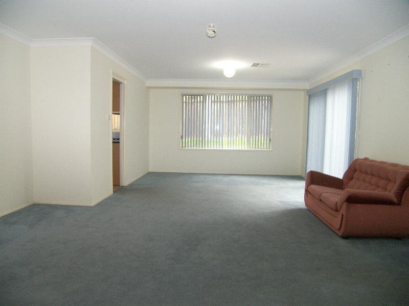 FAMILY KINGDOM Picture