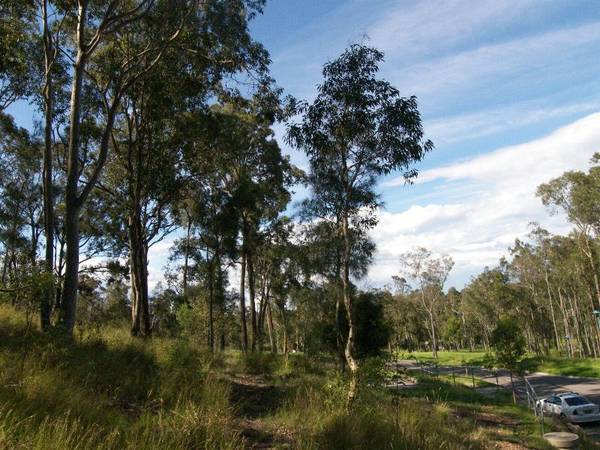 FANTASTIC HOME SITE Picture