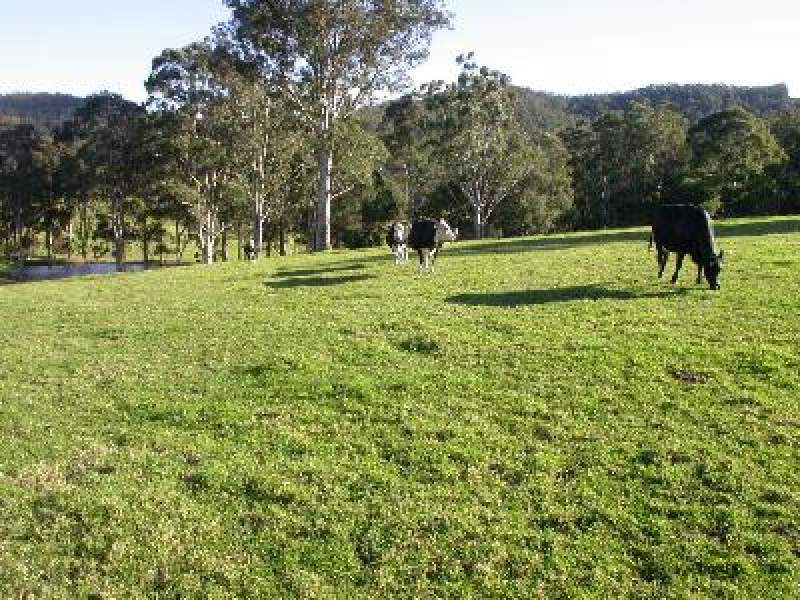 Gods Own Country Picture 2