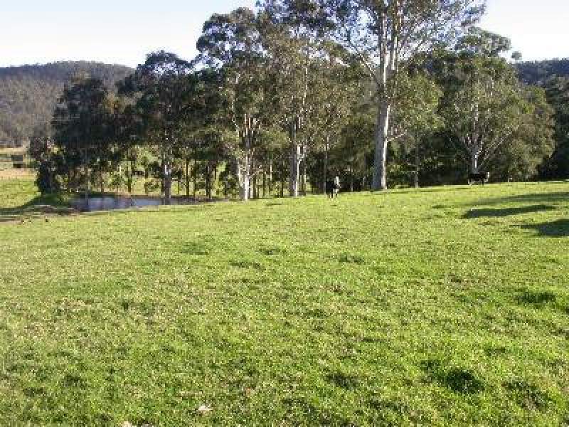 Gods Own Country Picture 3