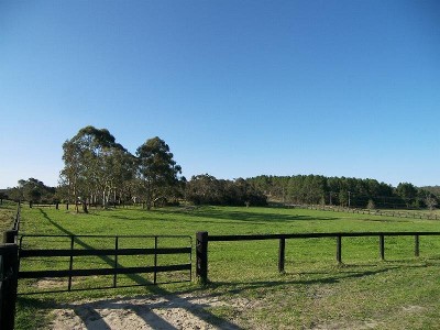 GOT TO GETAWAY Picture