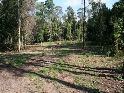 GRAB THIS LITTLE BEAUTY WHILE YOU STILL CAN Picture