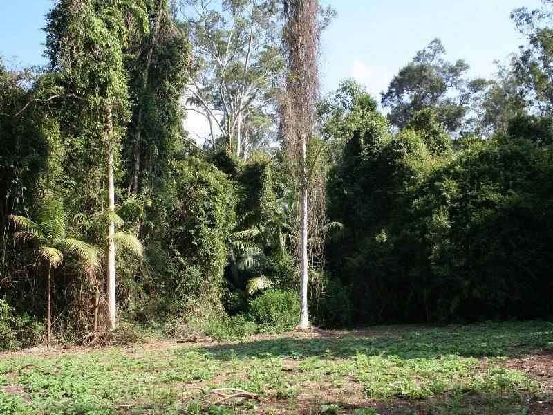 GRAB THIS LITTLE BEAUTY WHILE YOU STILL CAN Picture 3