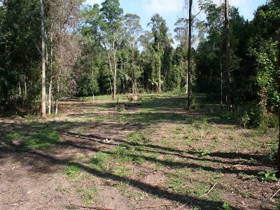 GRAB THIS LITTLE BEAUTY WHILE YOU STILL CAN Picture GRAB THIS LITTLE BEAUTY WHILE YOU STILL CAN Picture