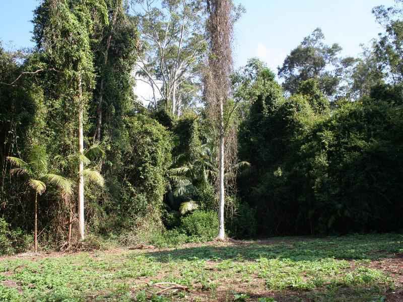 GRAB THIS LITTLE BEAUTY WHILE YOU STILL CAN Picture 3